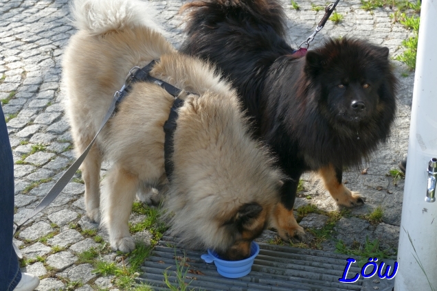 19.4.2025 - Bergwasser